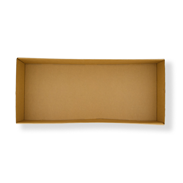 FRONTIER CATER BOX LARGE 558X252X80 (50ctn)