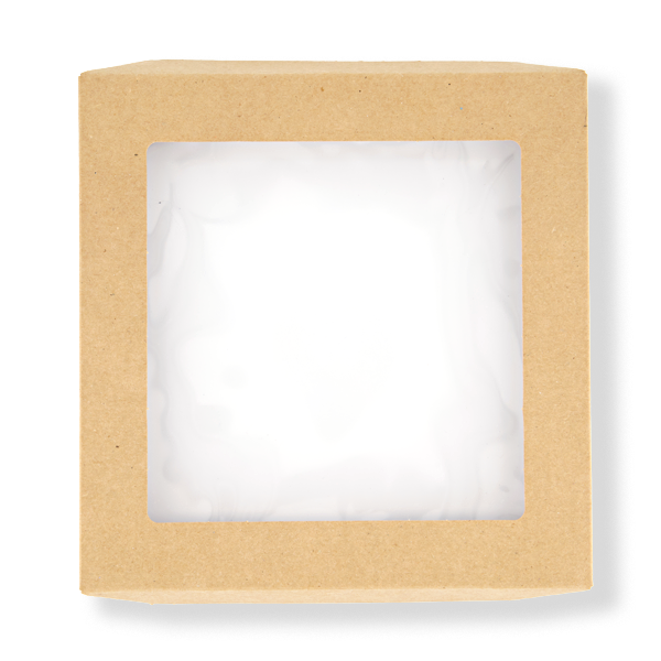 FRONTIER CATER BOX LID SMALL 229X228X30 (100ctn)