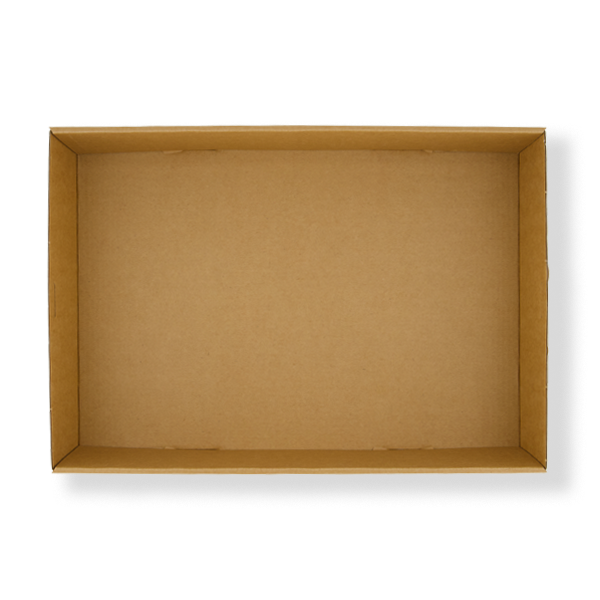 FRONTIER CATER BOX MEDIUM 359X252X80 (100ctn)