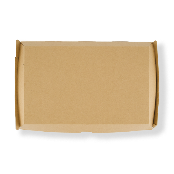 FRONTIER FAMILY BOX (100ctn) 290x170x85