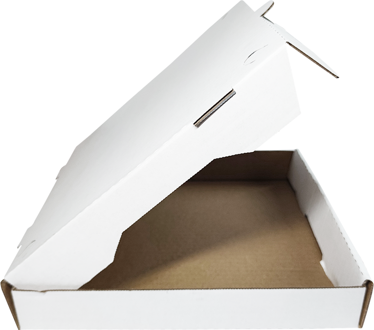 10 INCH WHITE/BROWN PIZZA BOX SINGLEFOLD (100)