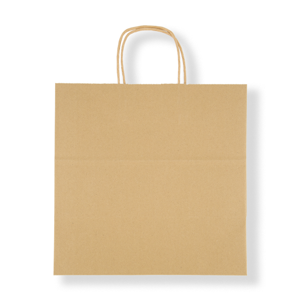 FRONTIER PTH SMALL KRAFT PAPER BAG 300X300X180MM (250ctn)