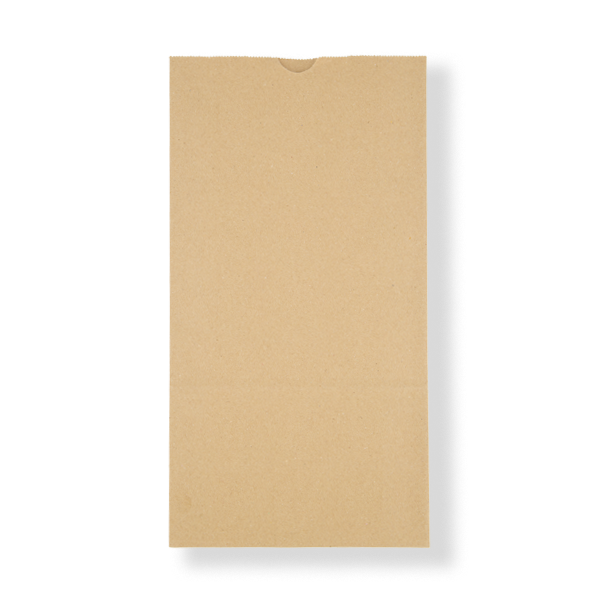FRONTIER SOS#16 BROWN 240x380x120  (250ctn)
