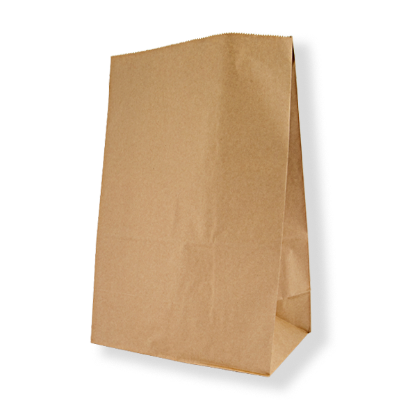 FRONTIER SOS #25 BROWN BAG 540x355x165  (100ctn)