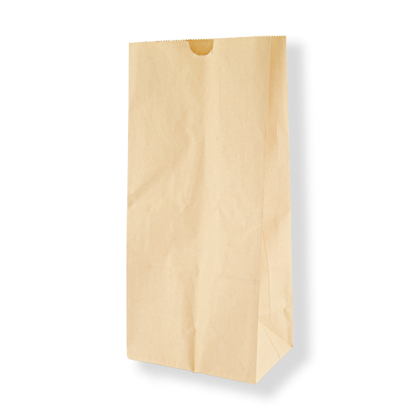 FRONTIER SOS#8 BAG BROWN 315x154x100 (1000ctn)
