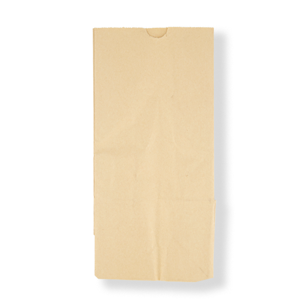 FRONTIER SOS#8 BAG BROWN 315x154x100 (1000ctn)