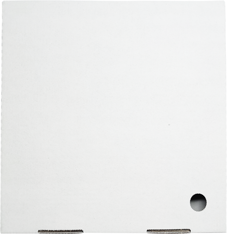 10 INCH WHITE/BROWN PIZZA BOX SINGLEFOLD (100)